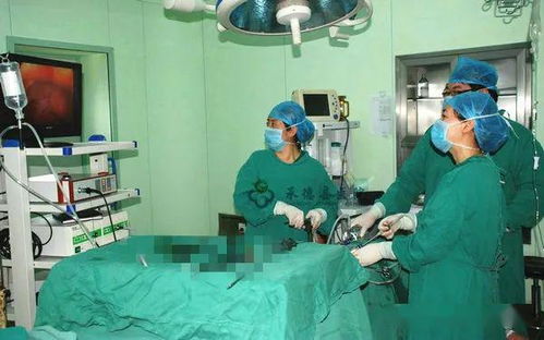 承德县医院 爱的妇产科