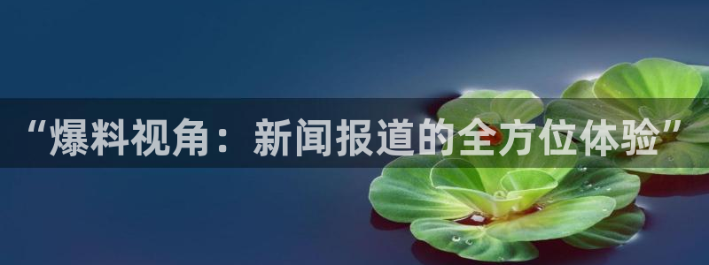 吃瓜的意思:“爆料视角:新闻报道的全方位体验”