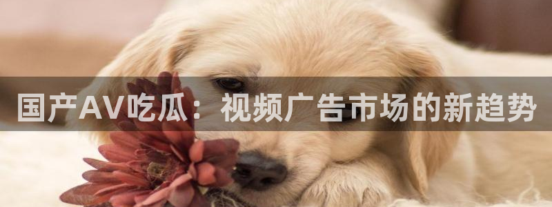 1吃瓜：国产AV吃瓜：视频广告市场的新趋势