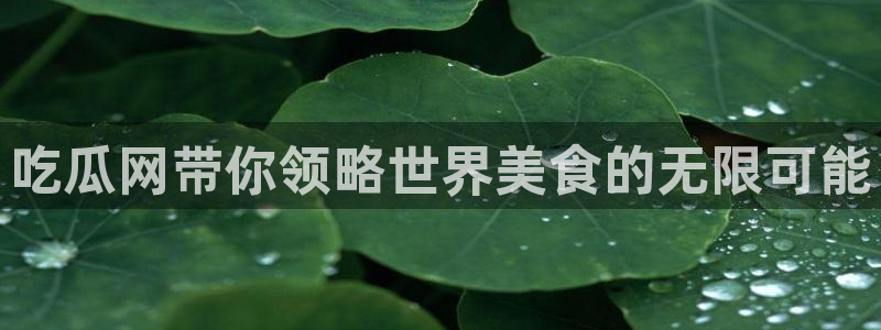 吃瓜最新：吃瓜网带你领略世界美食的无限可能