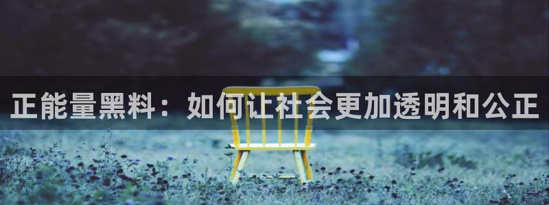 51吃瓜今日吃瓜入口：正能量黑料：如何让社会更加透明和公正