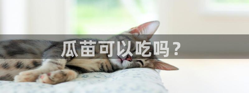 吃瓜是什么意思：瓜苗可以吃吗？